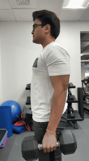 Standard Bicep Curl — form demonstration