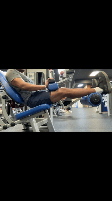 Seated Leg Curl — form demonstration